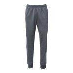 Graphite Pennant Performance Jogger Pants
