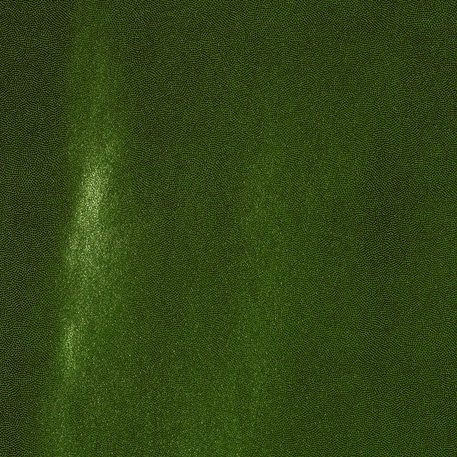 forest mystic jewels