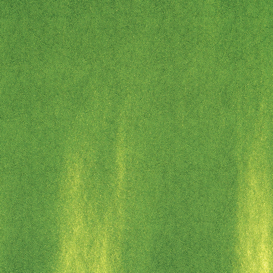 limeade mystic jewels fabric