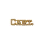 gold "capt." award pin