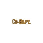 gold "co-capt." award pin
