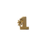 gold "#1" award pin