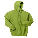 Kiwi Heavy Blend Hooded Sweatshirt, Front View