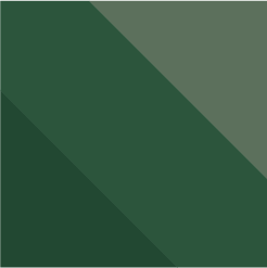 Forest Tonal