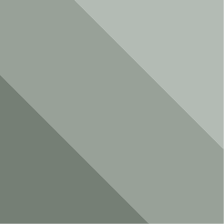 Silver Tonal
