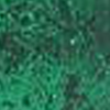 green glitter