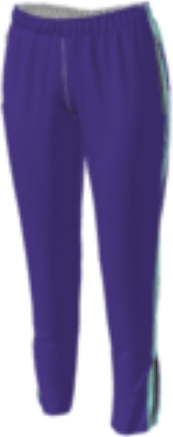 purple jflj10 custom pants option 0012 with two teal side stripes outlined in white